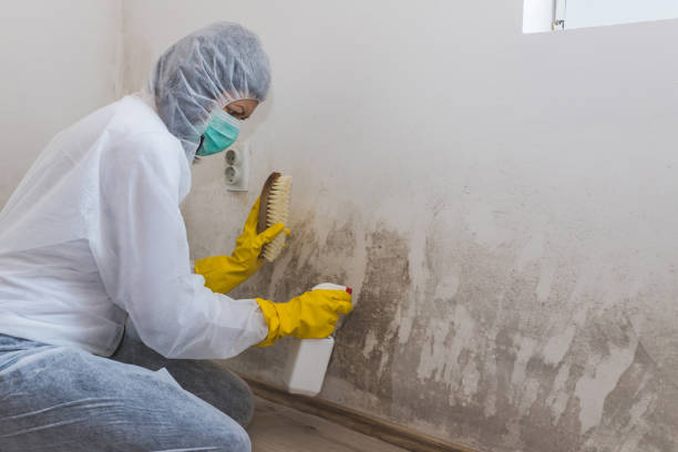 Best Bathroom Mold Remediation in Eudora, AR